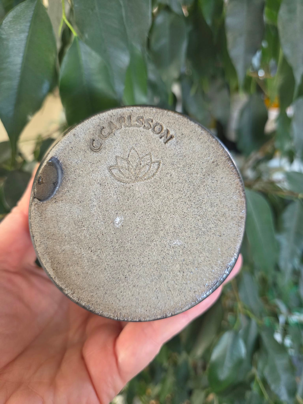 Woodland Krus, 3 dl